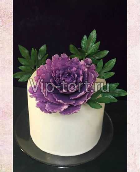 Торт "Пышный фиолетовый пион"