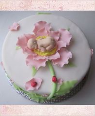 Торт на рождение девочки "Малышка и Божьи коровки"