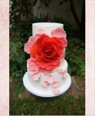 Торт "Красивая роза"